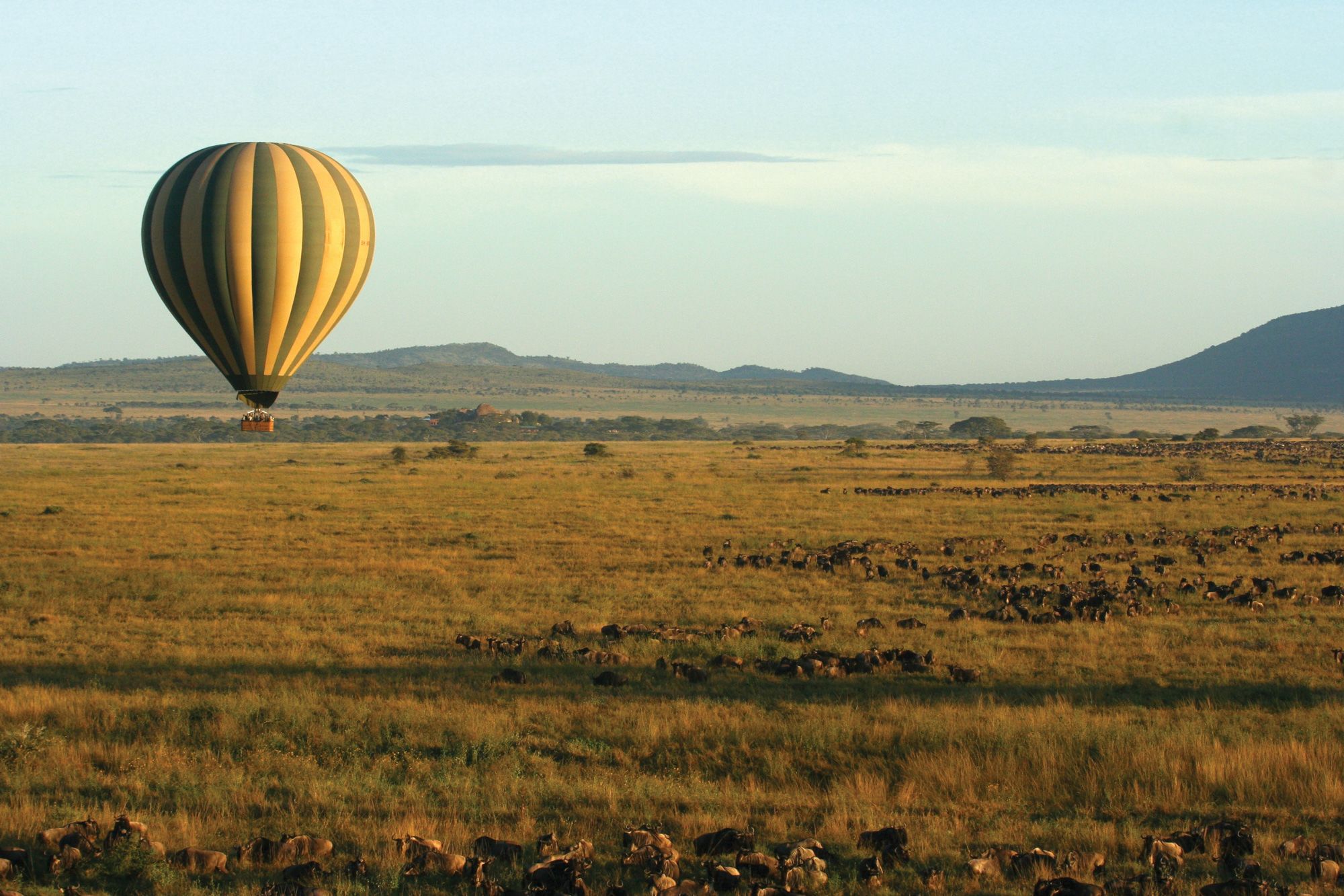 A Serengeti Balloon Safari hot air balloon outing. Travelers appear hungry for unique twists on the game drive. (Photo by Serengeti Balloon Safaris/Paul Joynson Hicks)