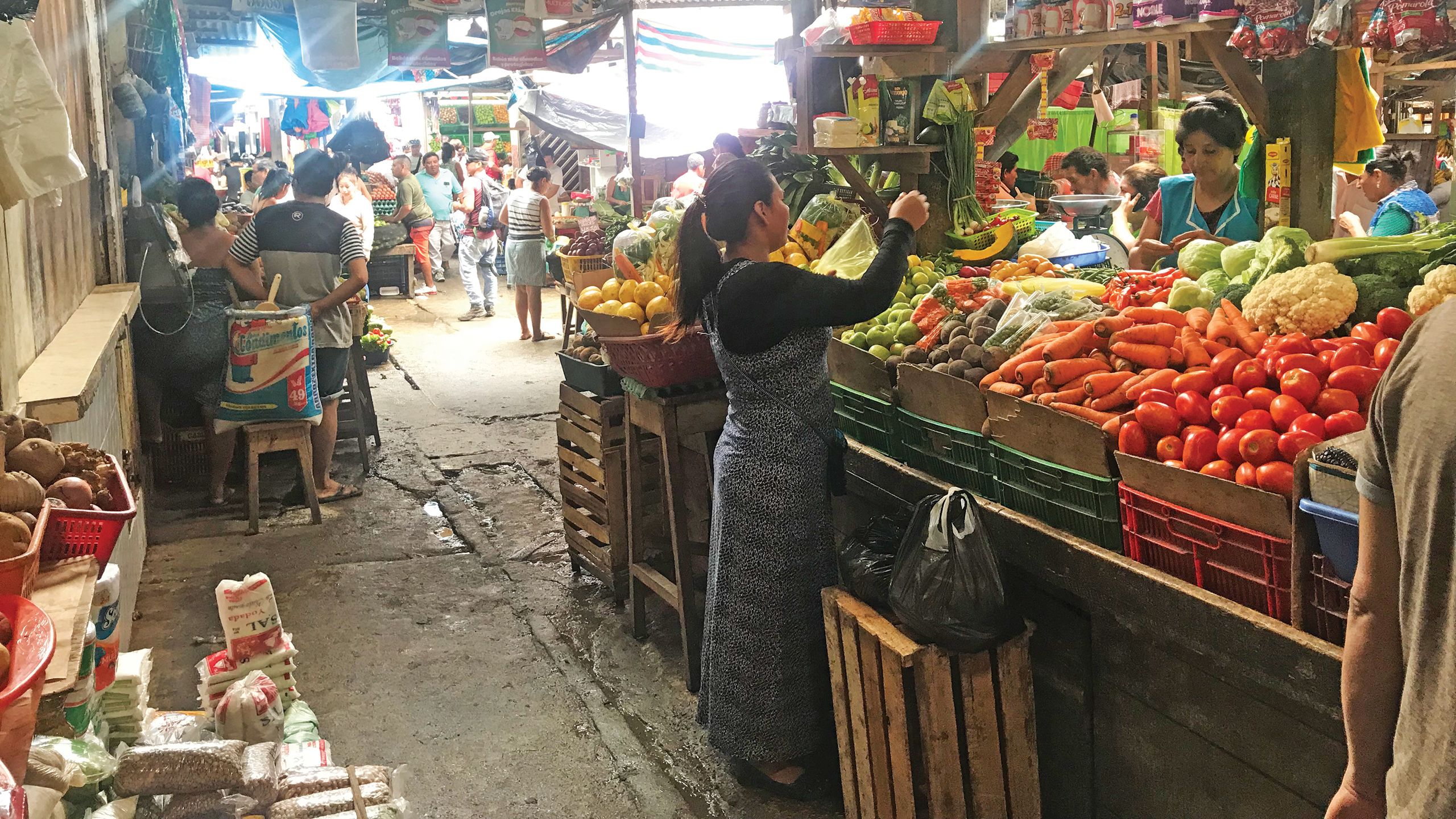 Colorful produce for sale at the city’s Belen market, where visitors will find everything from fresh piranha to handicrafts and local herbs and medicines.