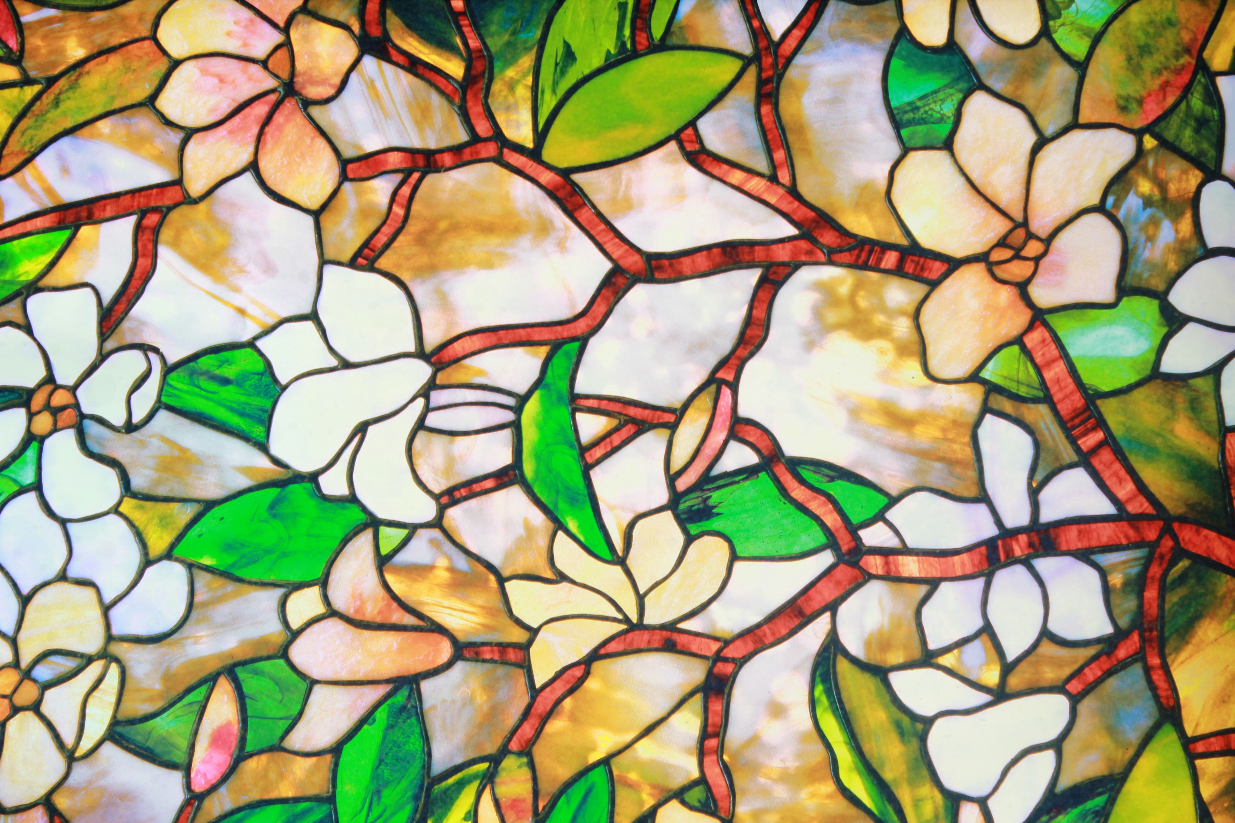 a close up of a colorful background