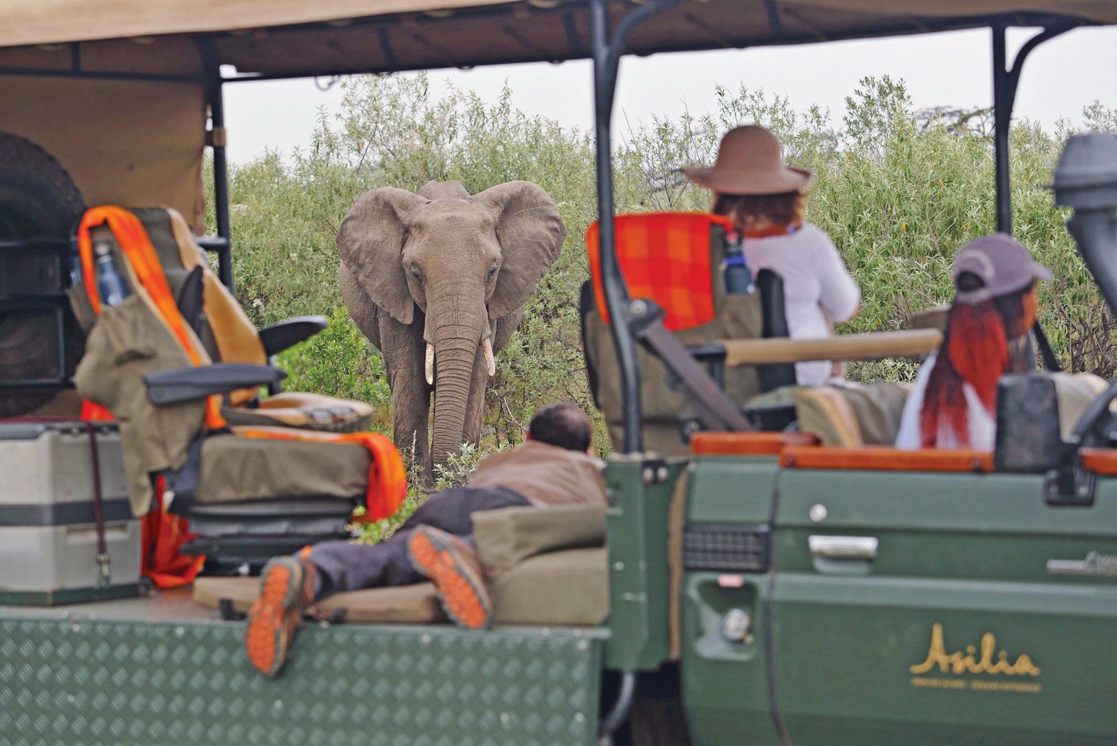A specialist photography vehicle from Asilia Africa’s Naboisho Camp. The Big Five were originally sought by big-game hunters, not photographers. (Photo by Asilia Africa)