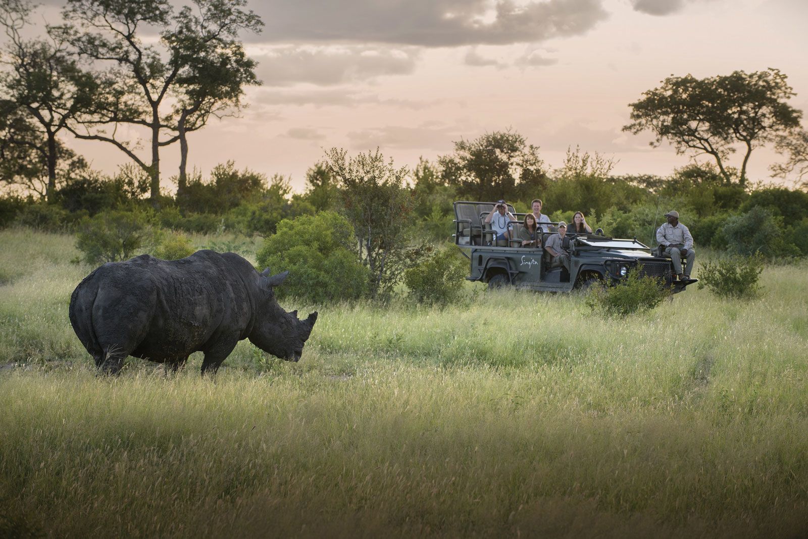 Rhinos at Singita Sabi Sand in South Africa. (Photo by Singita)