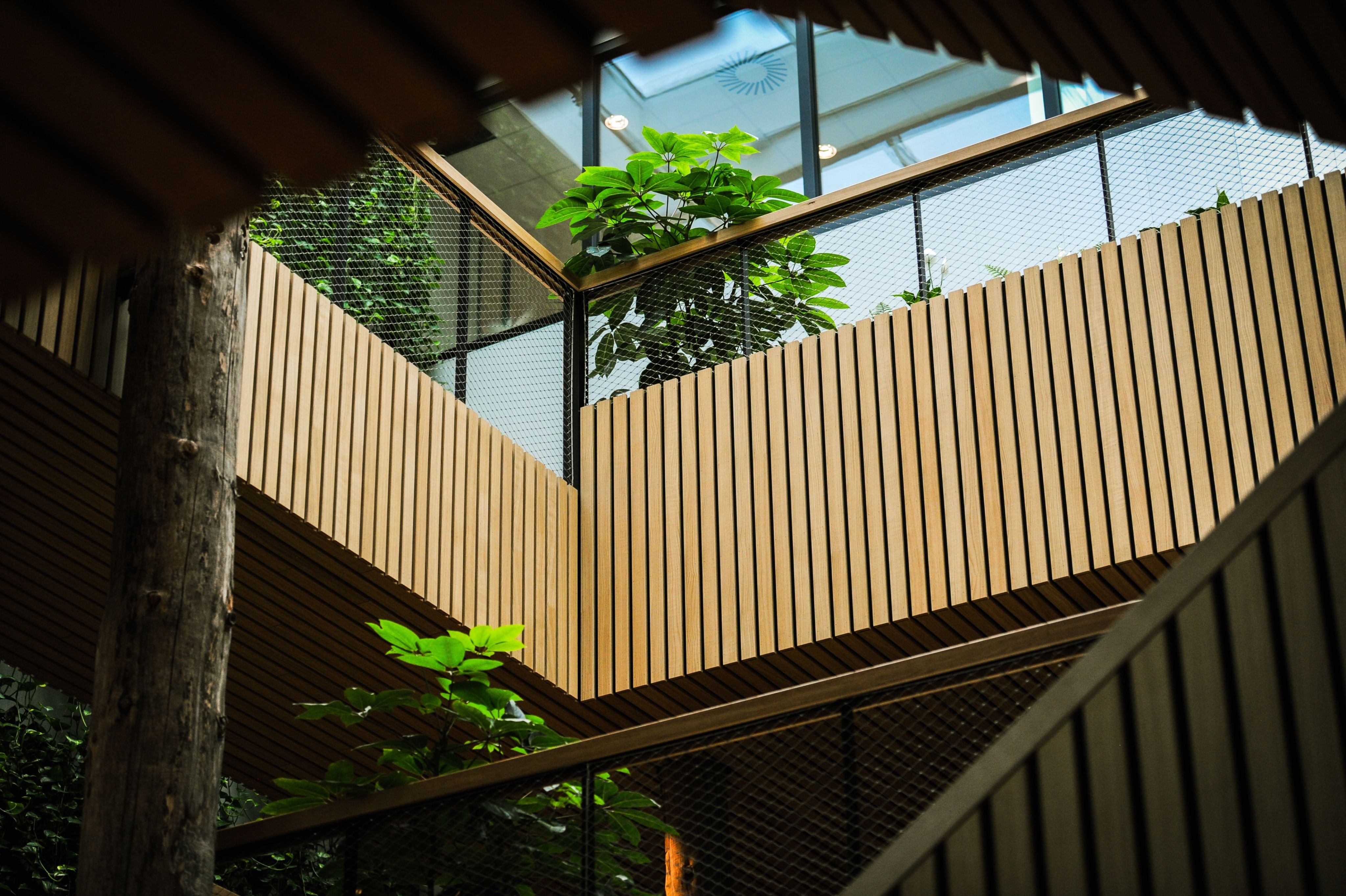a staircase leading up to a building with a tree growing out of it