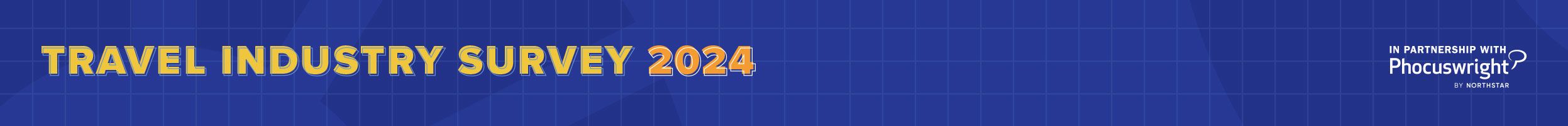 Travel Industry Survey 2024