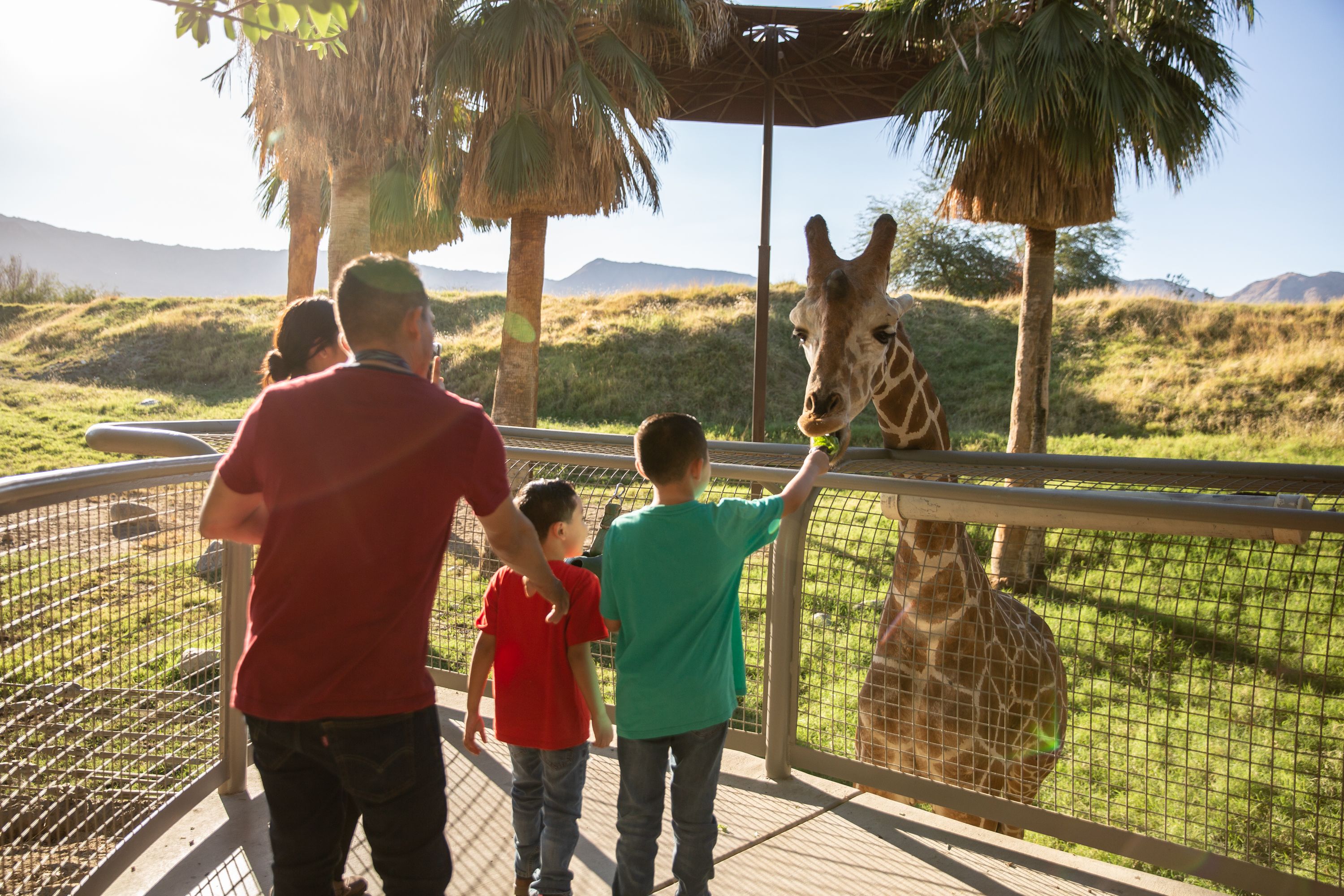 Things to do and see in Greater palm springs