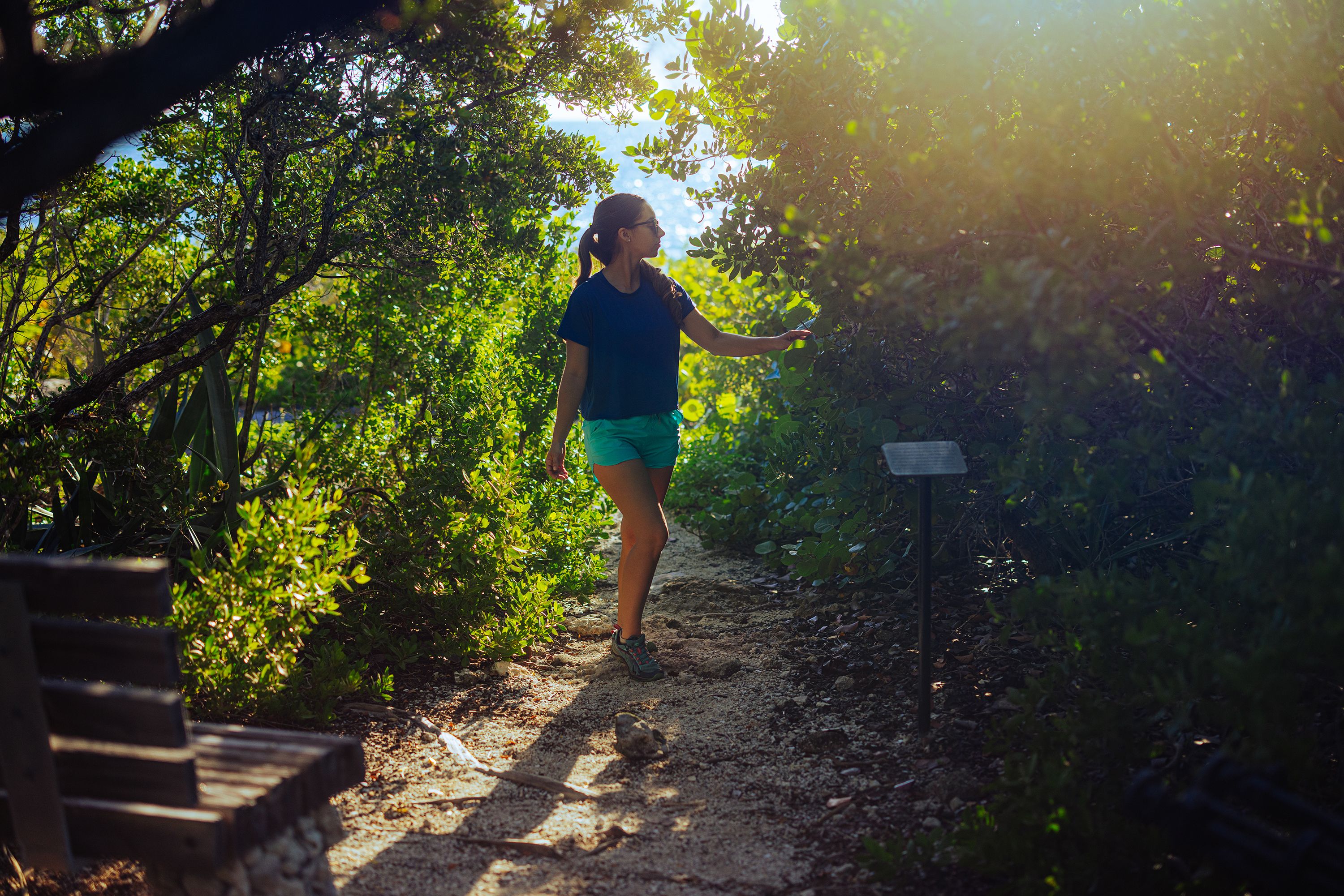 Things to do and see in The Florida Keys & Key West