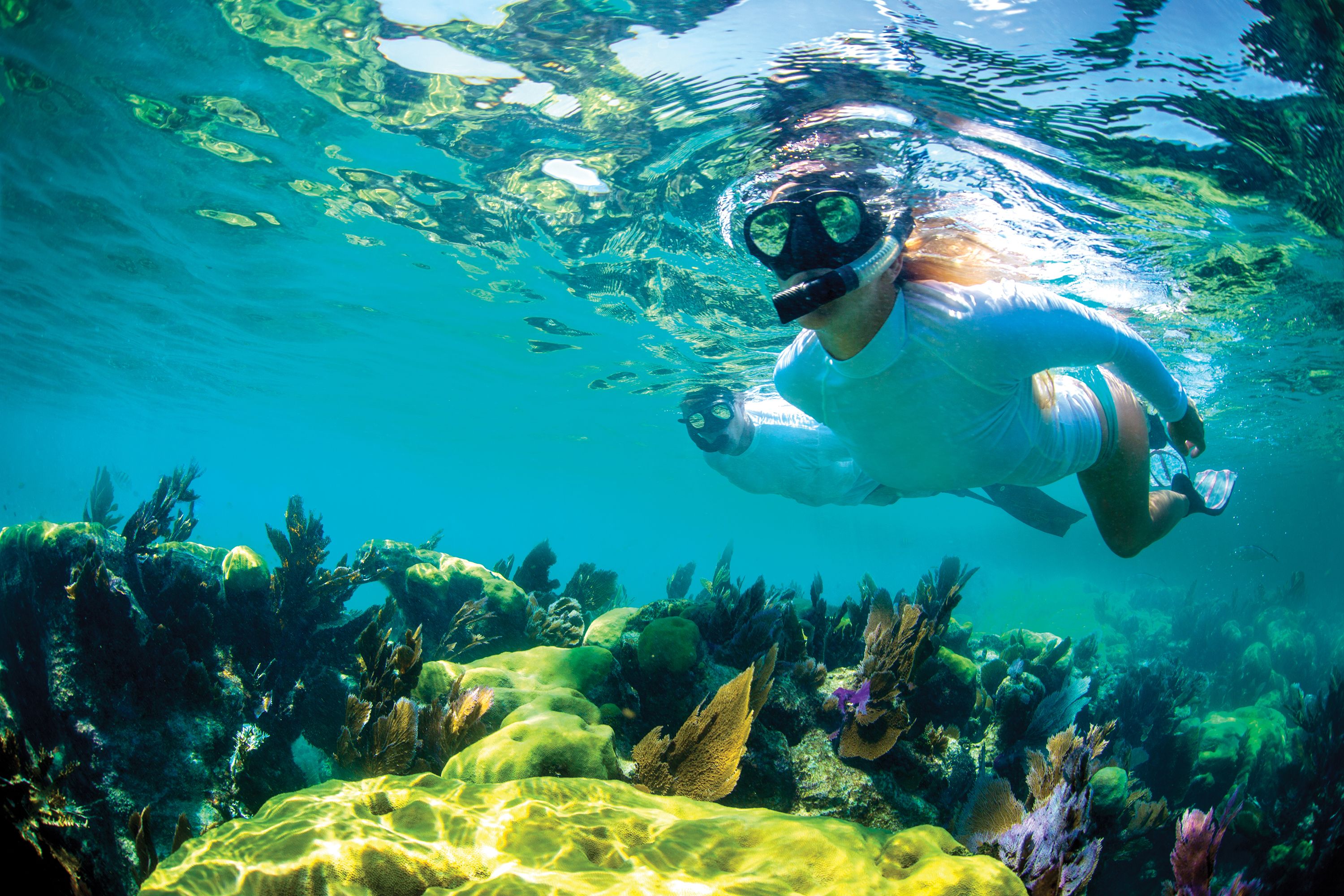 Things to do and see in The Florida Keys & Key West