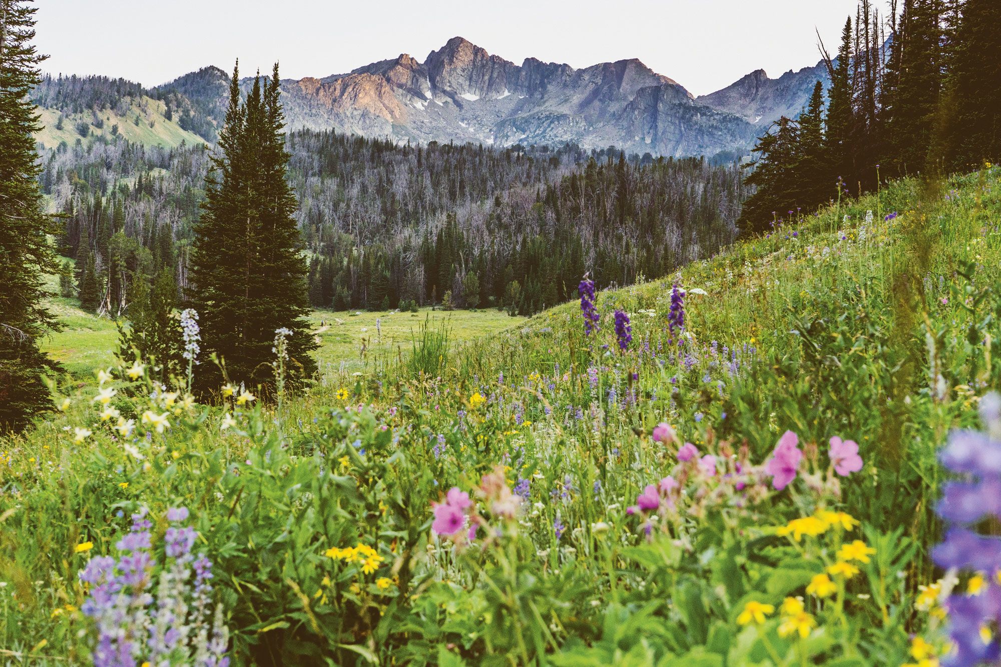 Beehive Basin in the Big Sky region of Montana. (Courtesy of Visit Big Sky)