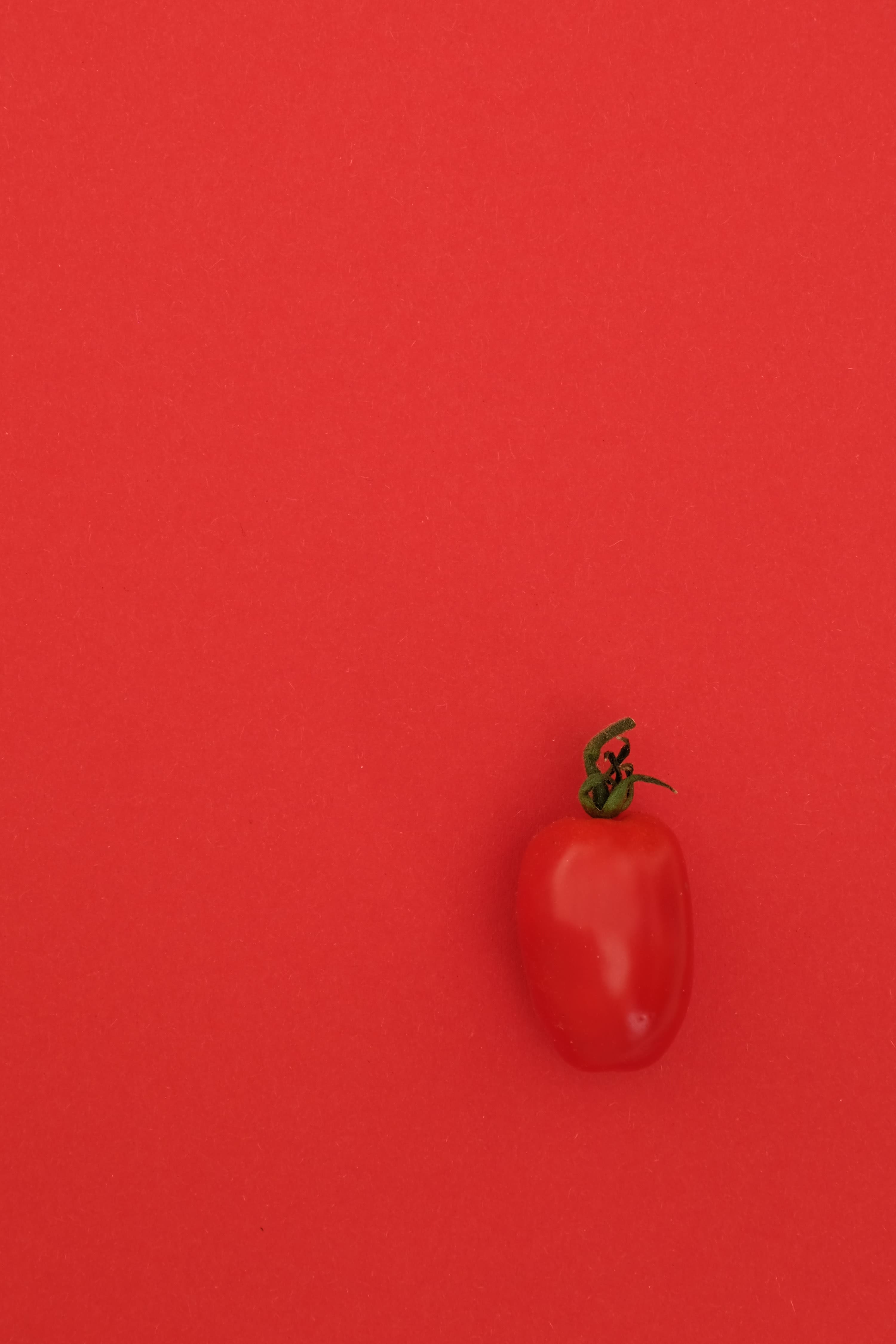 red tomato on red table