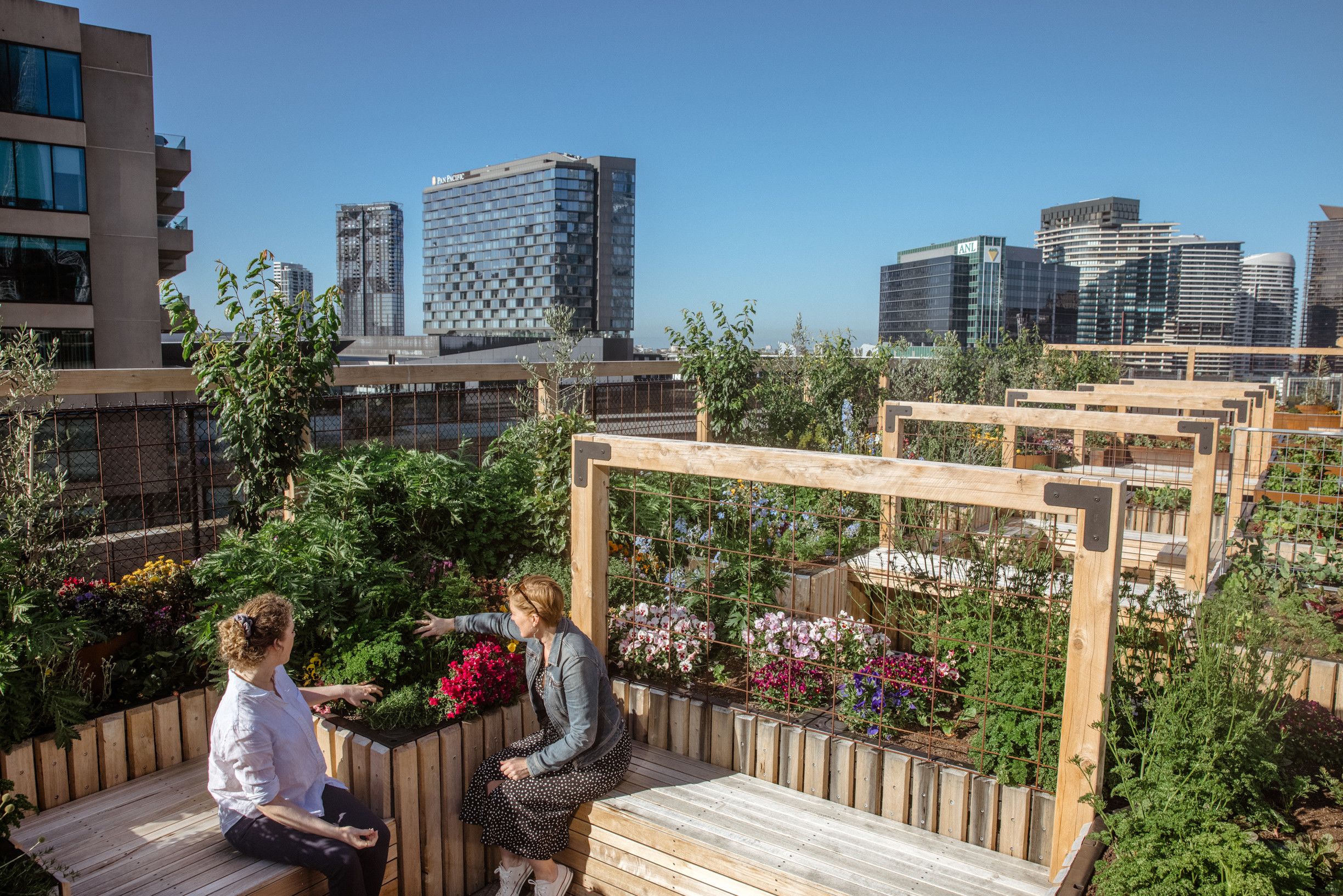 Melbourne Skyfarm is a 2000 square metre urban farm on the Melbourne Convention and Exhibition Centre rooftop.