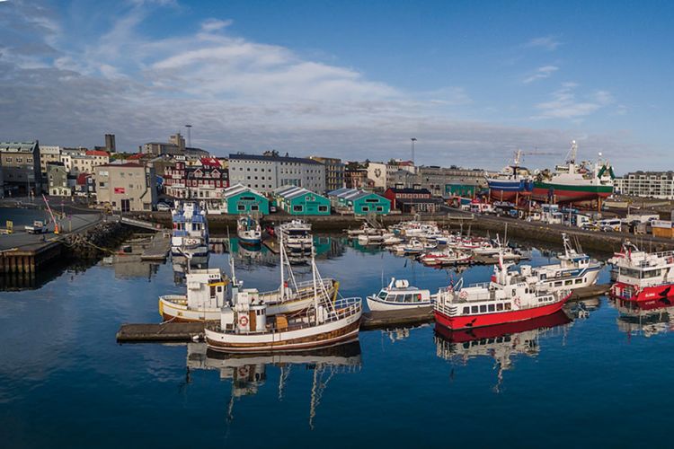 Harbor in Reykjavik - pleasure craft and small fishing boats mix with whale watching and puffin watching boats.