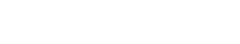 FOCUS ON CRUISE