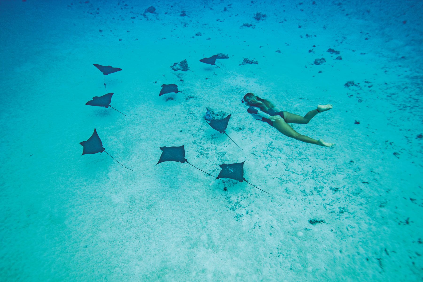 The clear waters of Bora Bora and the other islands of French Polynesia are popular for underwater adventures such as snorkeling and diving. (Photo by Emmanuel Bouvet)