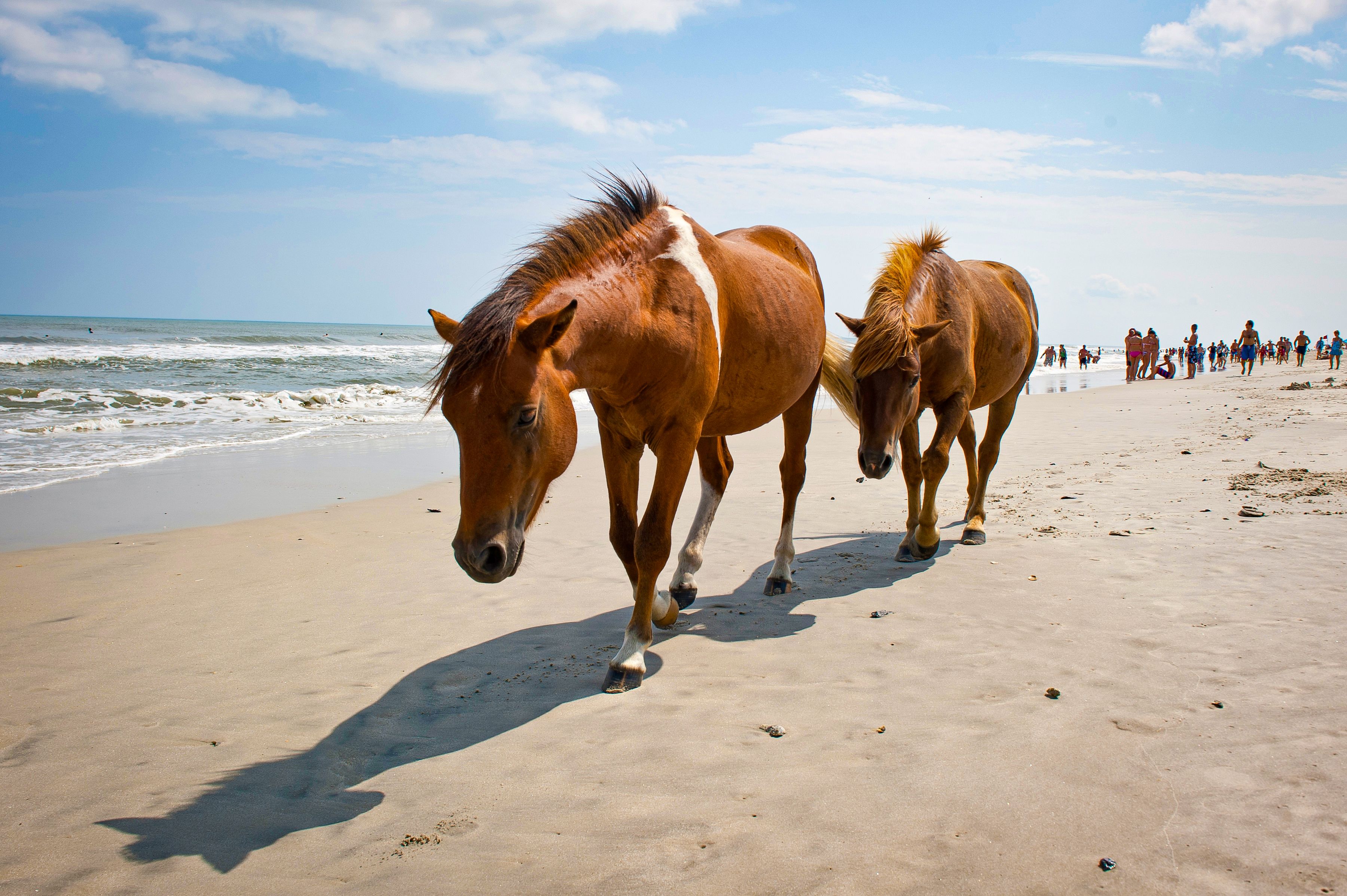 Things to do and see in The Florida Keys & Key West