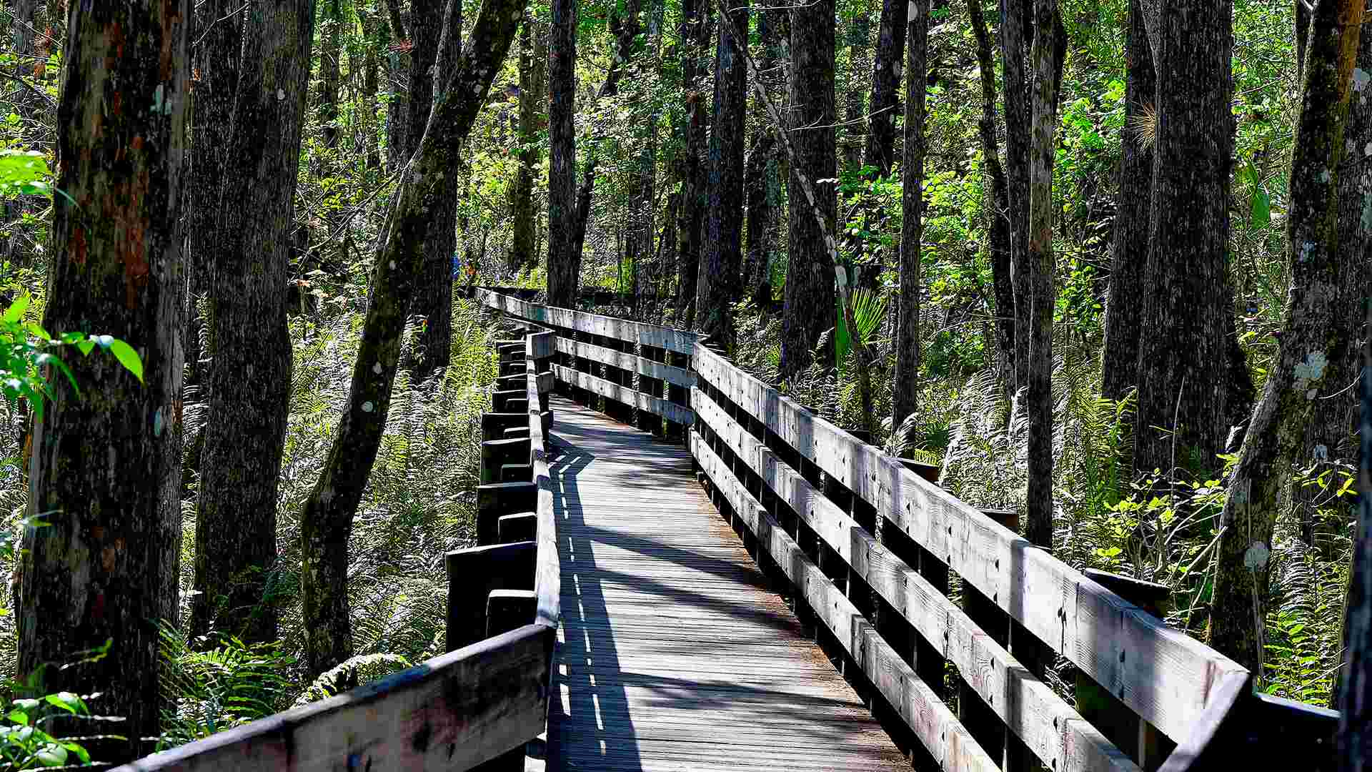 Things to do and see in The Florida Keys & Key West