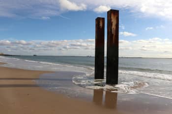 A couple of poles sticking out of the sand of a beach