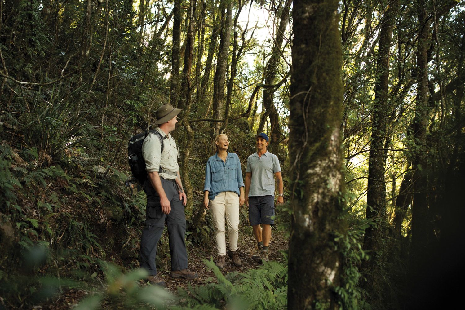 The Scenic Rim Trail in Queensland. (Courtesy of Tourism and Events Queensland)