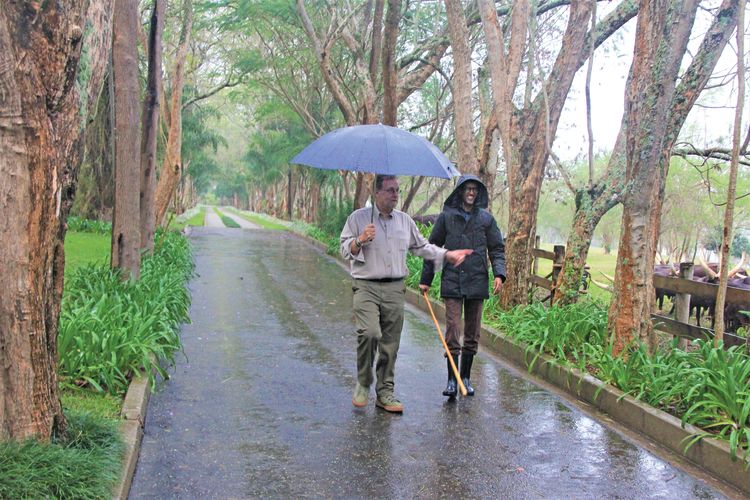 Their planned tennis match rained out, Greenberg and the president stroll to see cattle at his retreat, Muhazi.