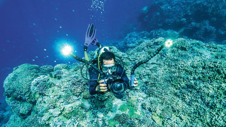 Lindblad has built robust enrichment teams for its expedition cruises, including this underwater photographer/videographer.