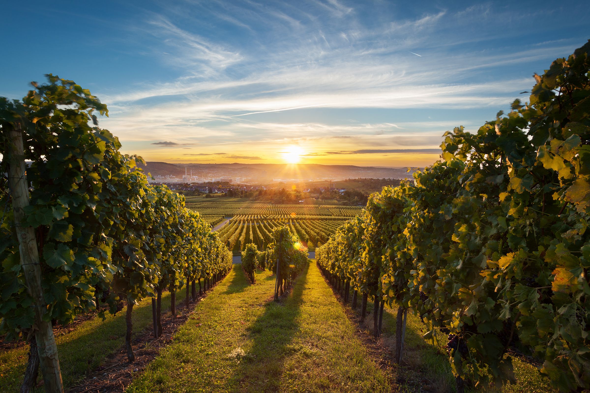 Drive off the beaten path to less-touristy places for a more wholesome and personal travel experience.