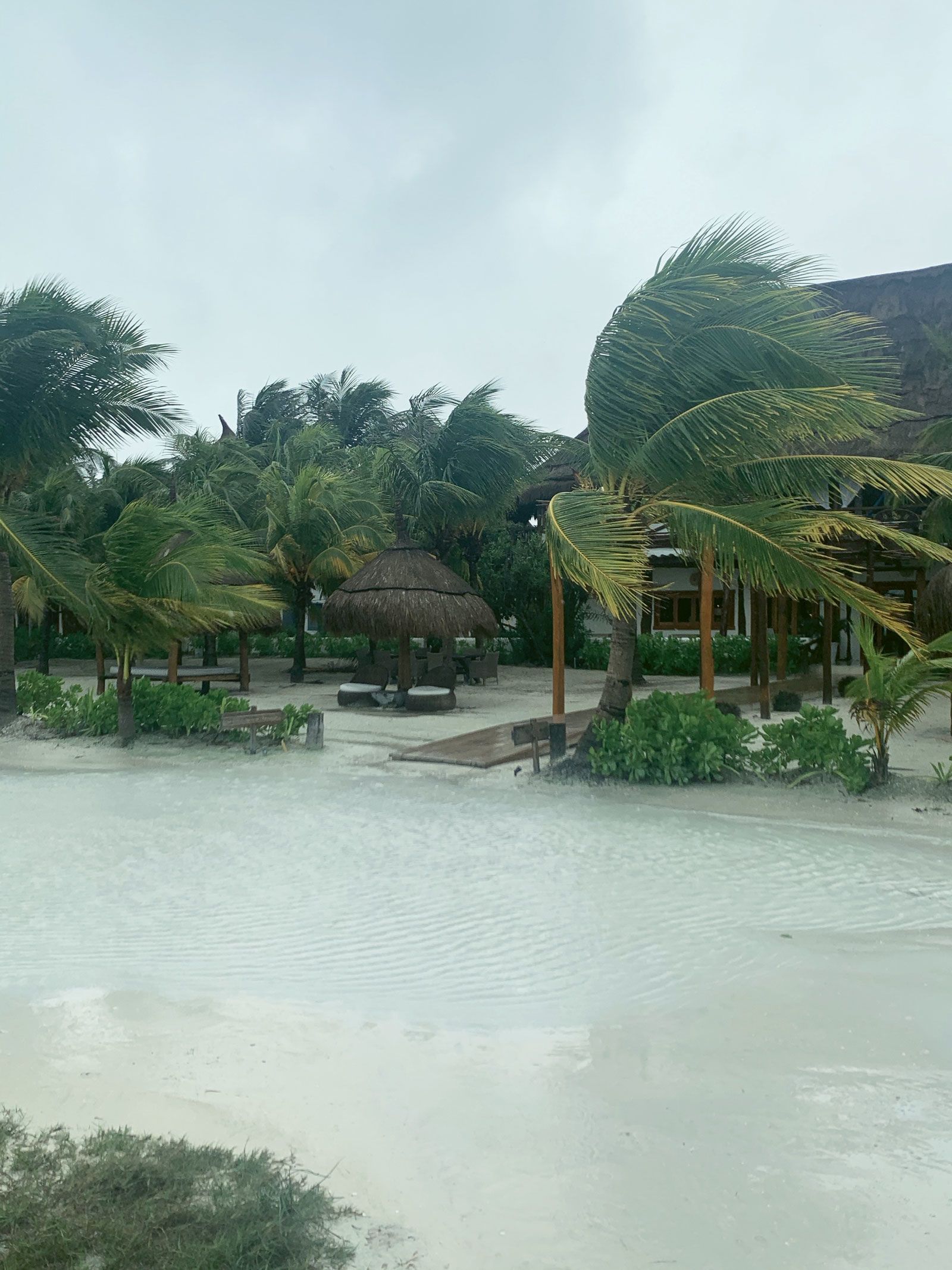 The entrance to Ser Casasandra as Tropical Storm Gamma moved through.