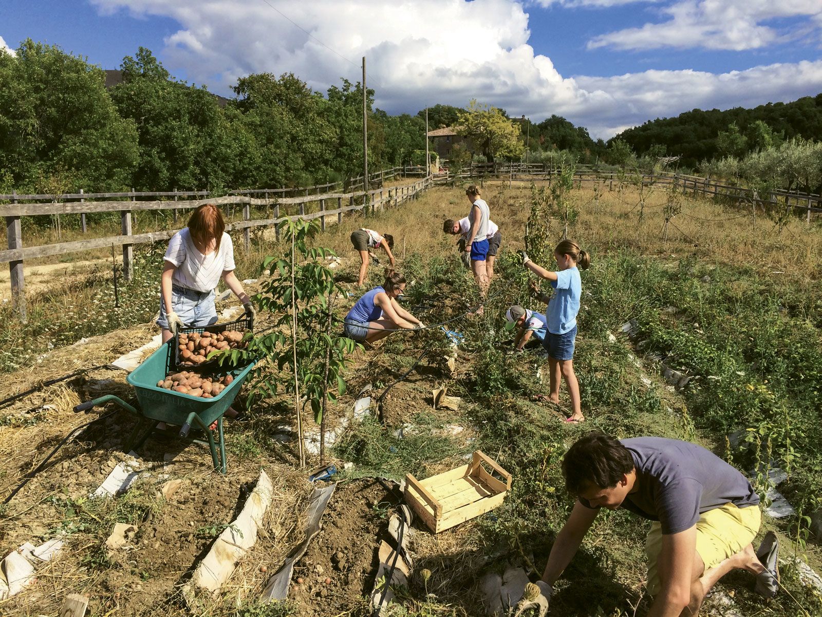 G Adventures offers single-destination agritourism as part of its Local Living collection.