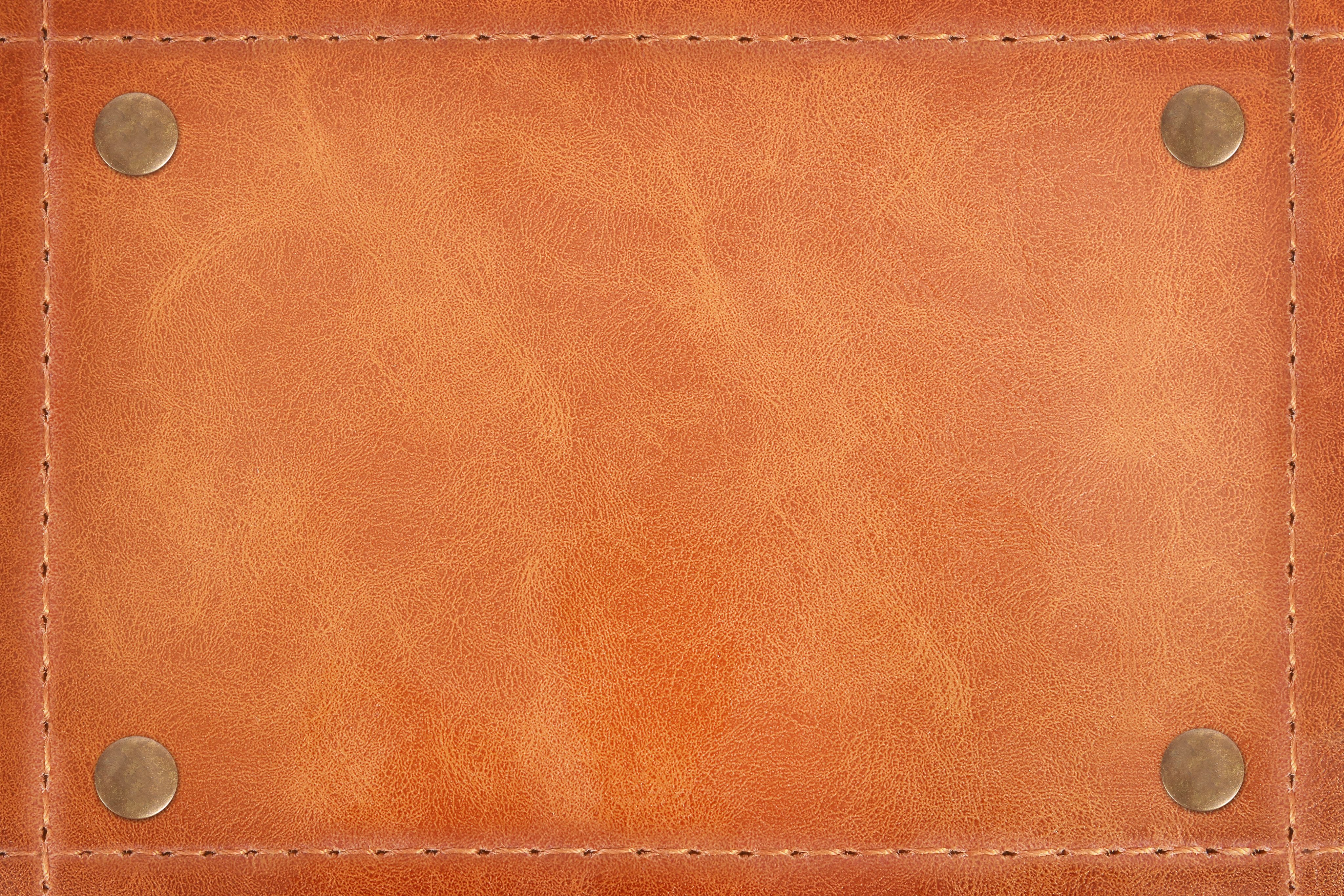 Passport Background