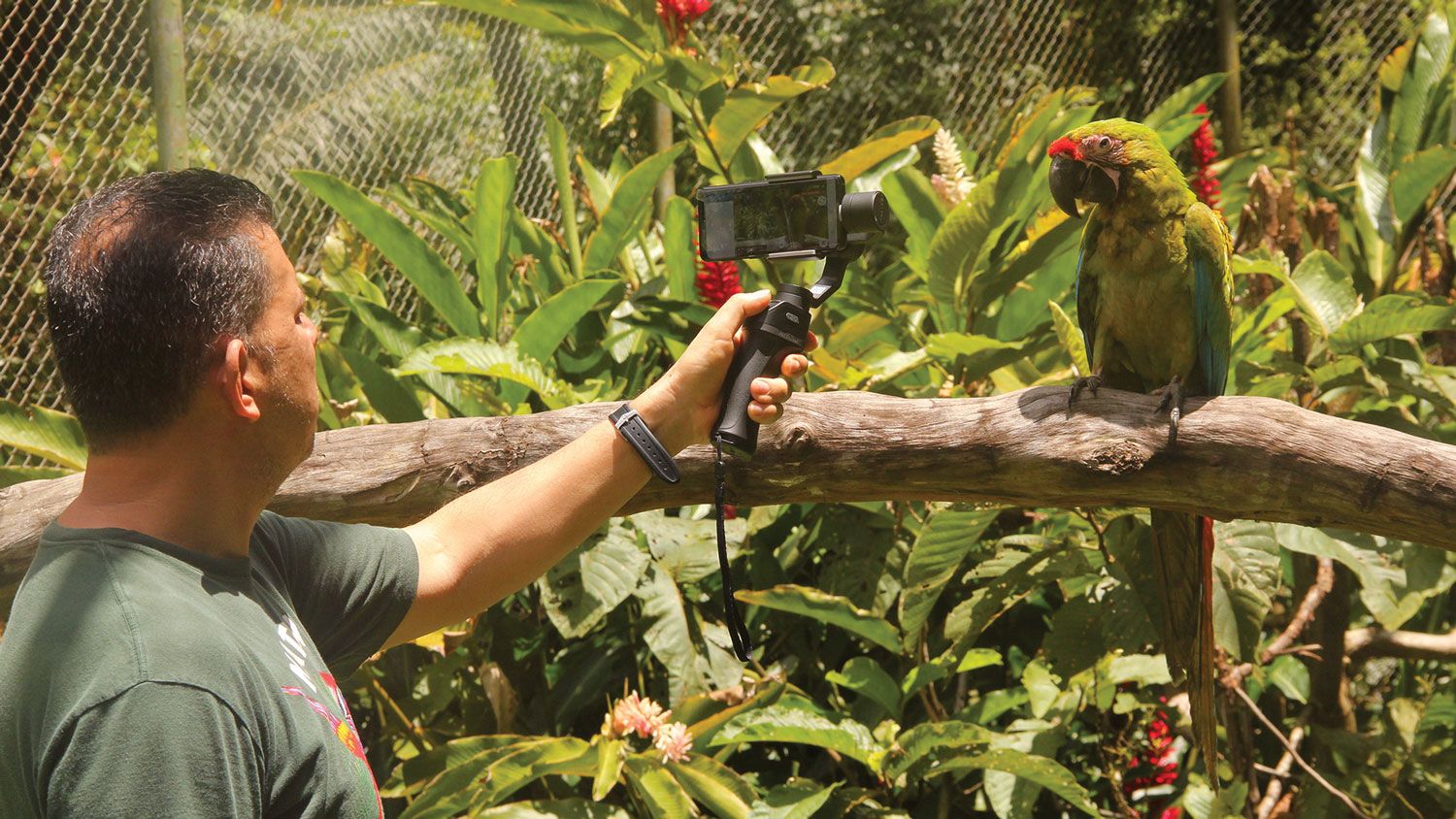 Asuaire offers private virtual tours of the Natuwa wildlife rescue center in Costa Rica.