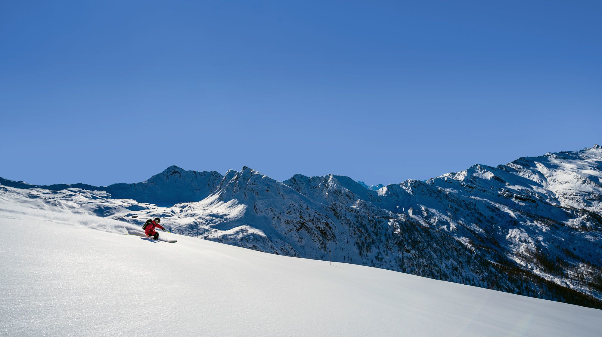 Photo by Yari Ghidone/Shutterstock.com