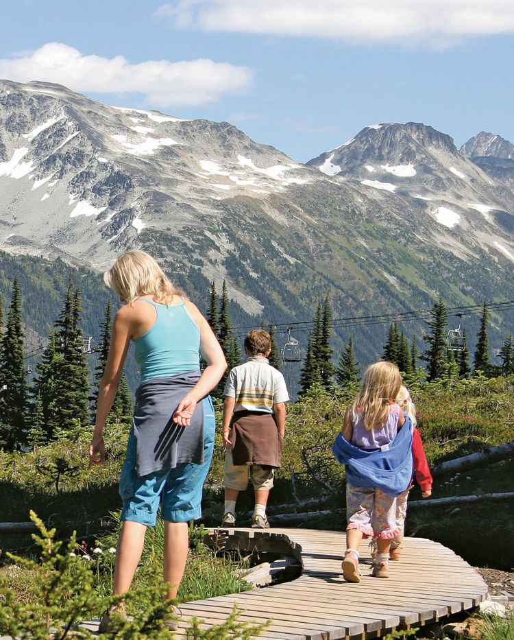 The trend toward more active excursions extends to families. Norwegian Cruise Line, for example, offers family-focused activities like hiking.