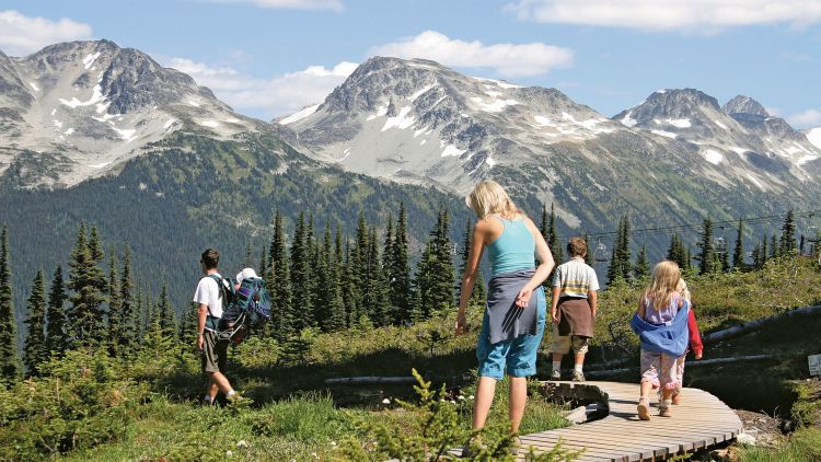 The trend toward more active excursions extends to families. Norwegian Cruise Line, for example, offers family-focused activities like hiking.