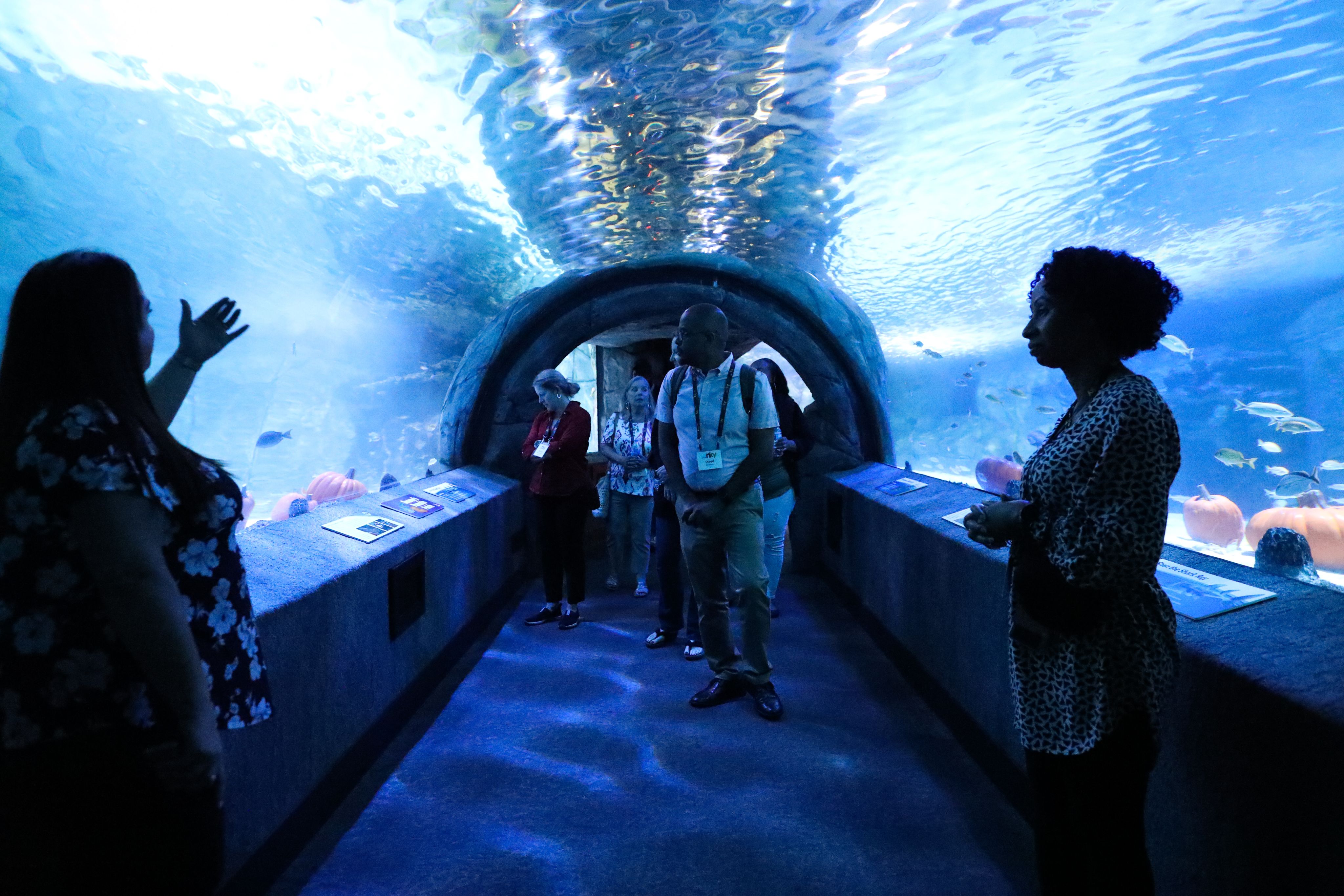 Things to do and see in Northern Kentucky
