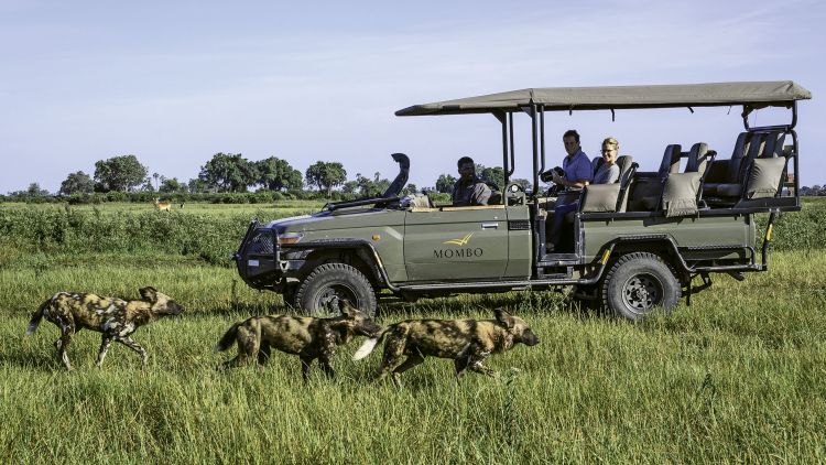 There are still vast swathes of wilderness areas and intact ecosystems in Africa, and a game drive remains one of the best ways to enjoy these areas.
