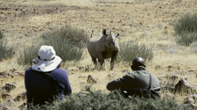 A sustainable and responsible conservation activity for travelers is rhino tracking at the Wilderness Desert Rhino Camp in Namibia.