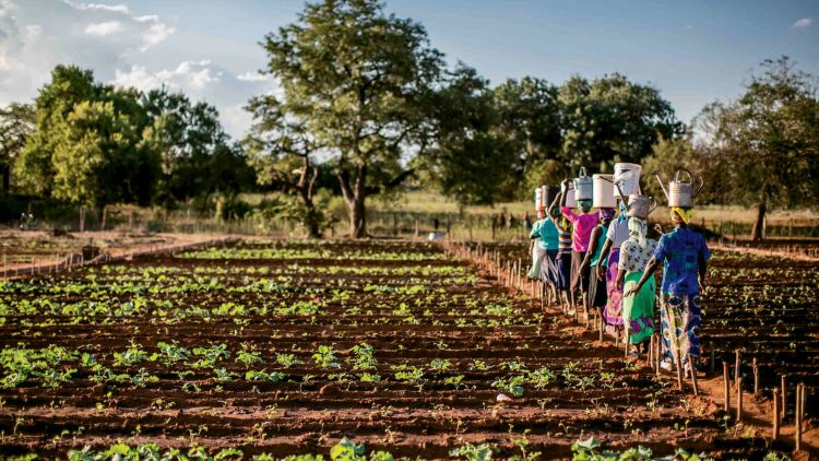 Local entrepreneurs are a part of the Enterprise Development project run by the Singita Grumeti Fund in partnership with Raizcorp, a business incubator that provides support and counseling for entrepreneurs. 