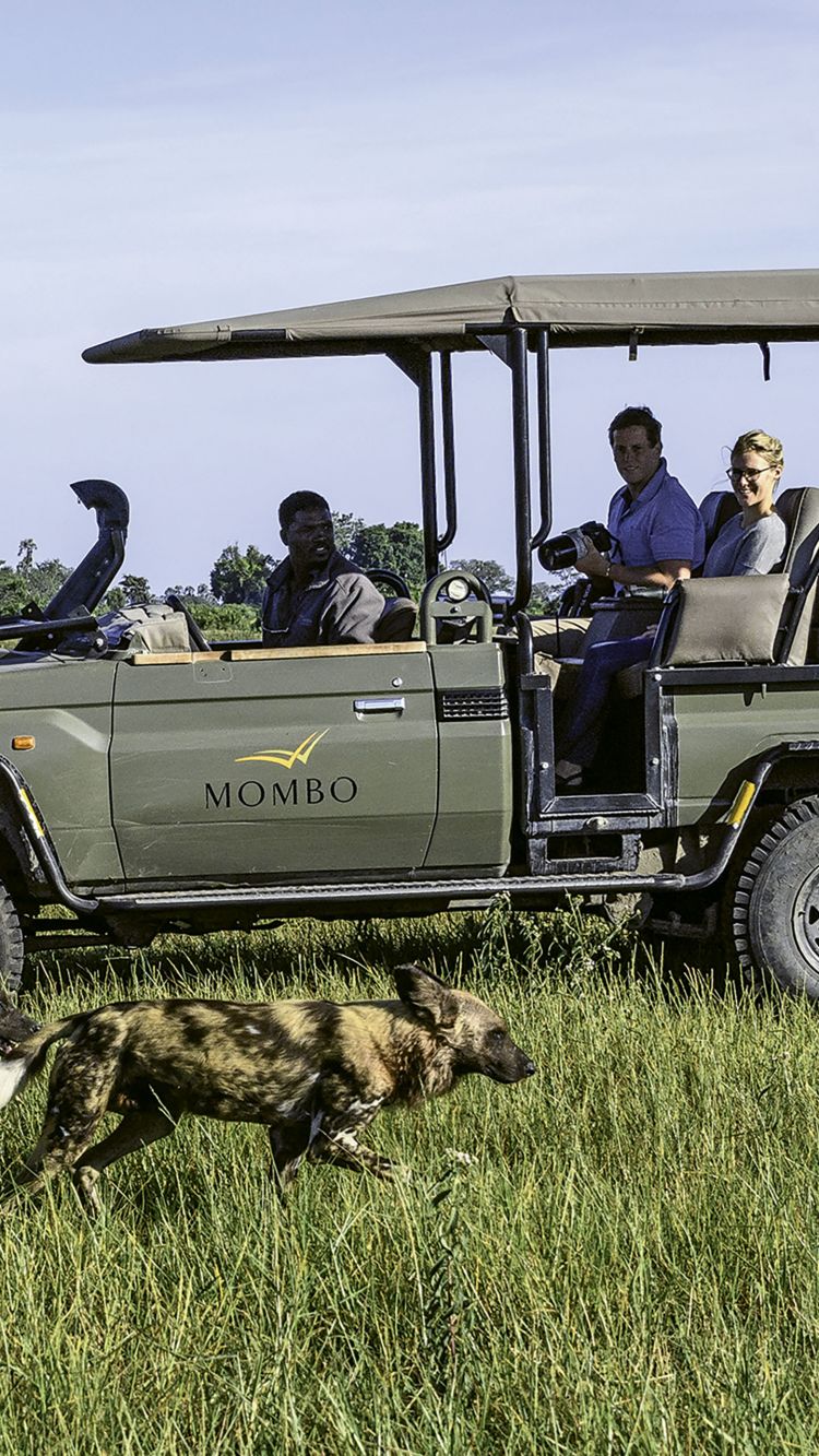 There are still vast swathes of wilderness areas and intact ecosystems in Africa, and a game drive remains one of the best ways to enjoy these areas.