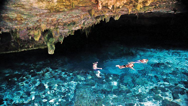 Another Unico 20°87° excursion is to a cenote, a natural sinkhole with exposed groundwater.