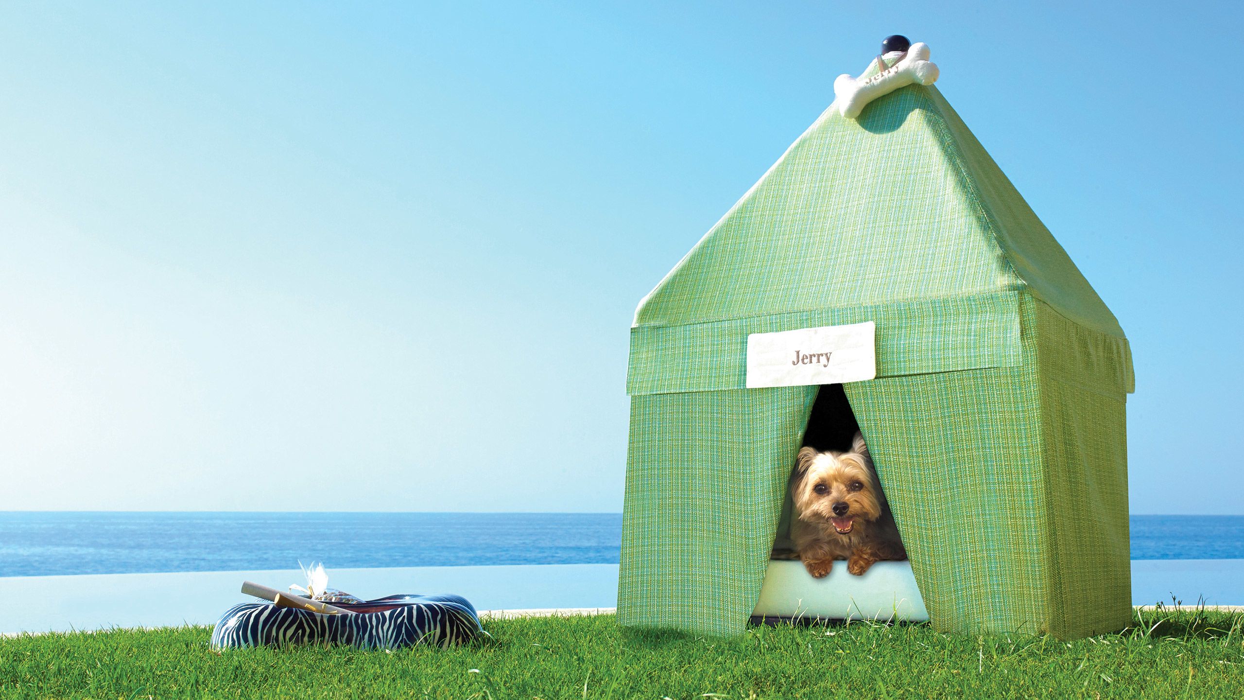 A poolside pet cabana at Las Ventanas al Paraiso, a Rosewood Resort in Los Cabos. 