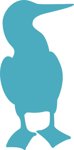 Illustration of blue-footed booby