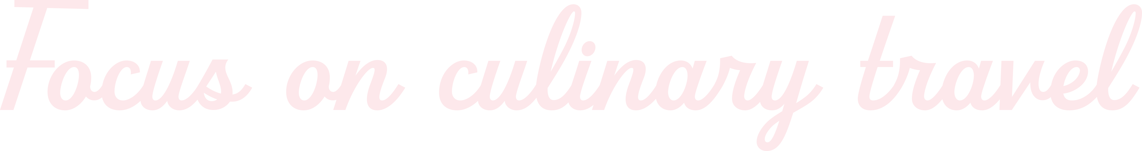 Focus on culinary travel