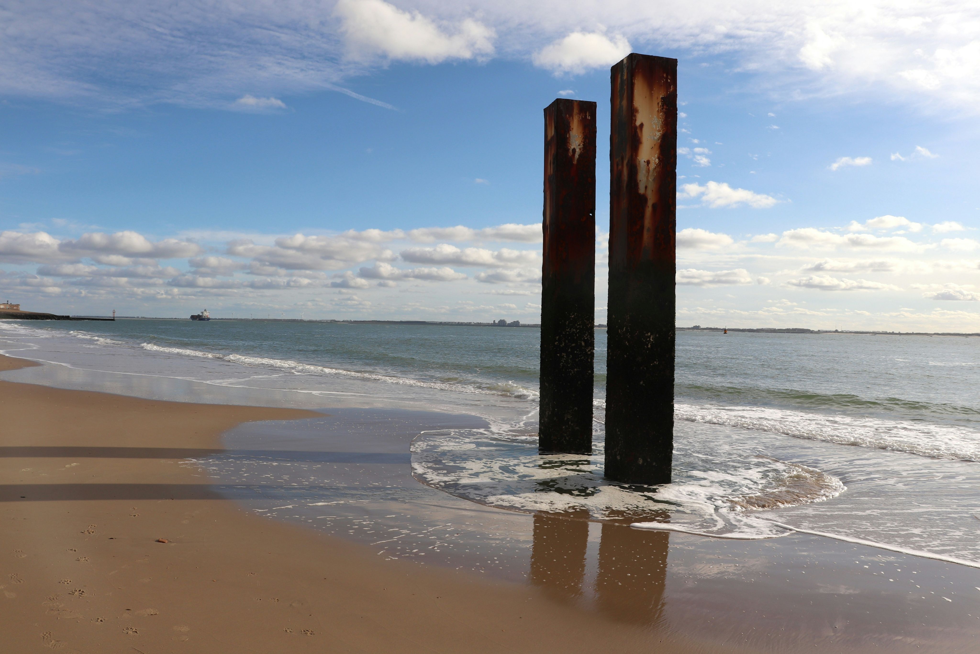 A couple of poles sticking out of the sand of a beach