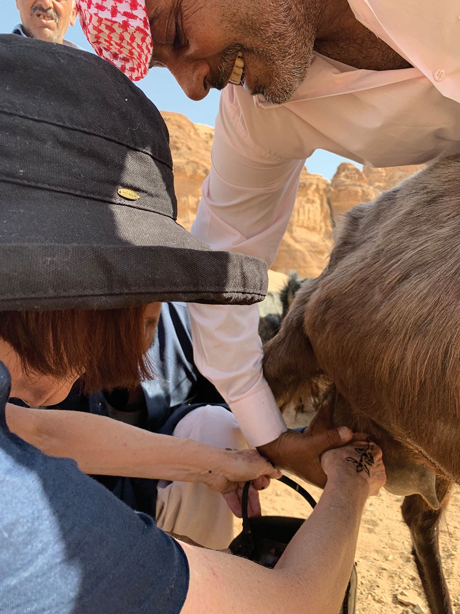 a Jordanian shepherd teaches the group how to milk a goat.