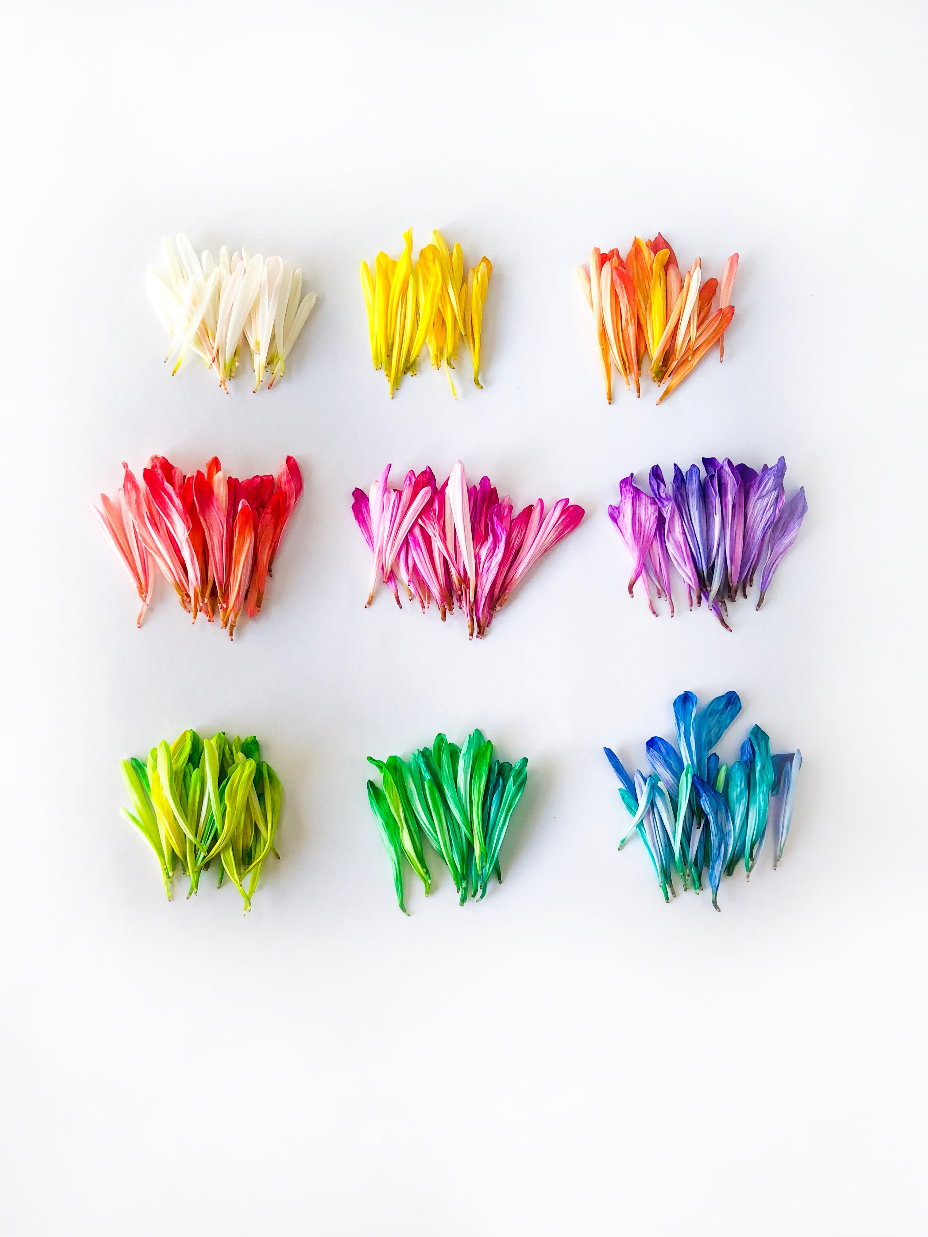 assorted flowers on white surface