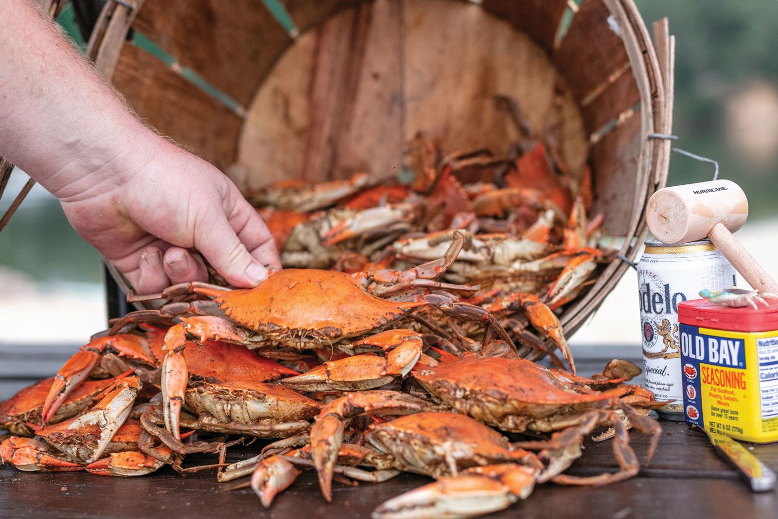 The Tides’ new resident ecologist leads programming that adds a culinary aspect to outdoor adventure. (Courtesy of The Tides Inn)