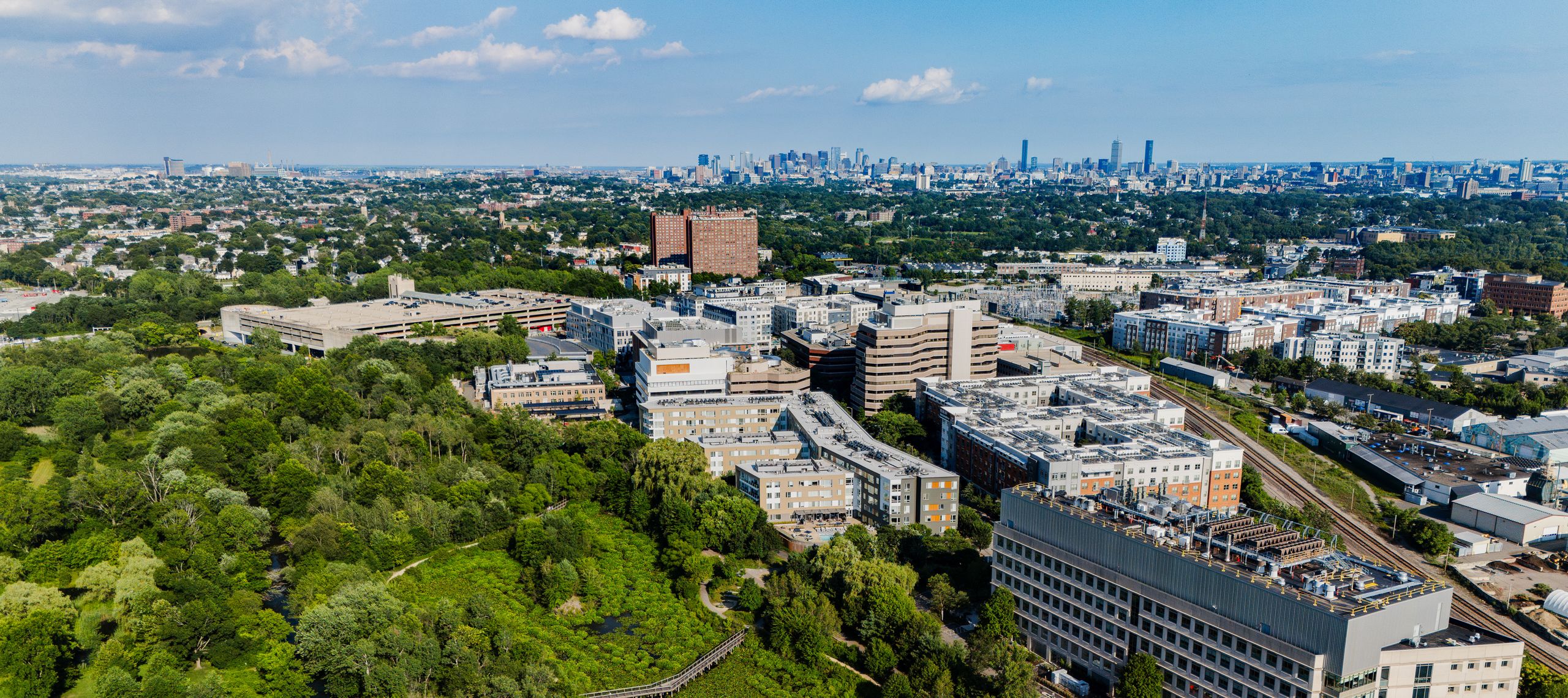 things to see and do in Cambridge, Mass.