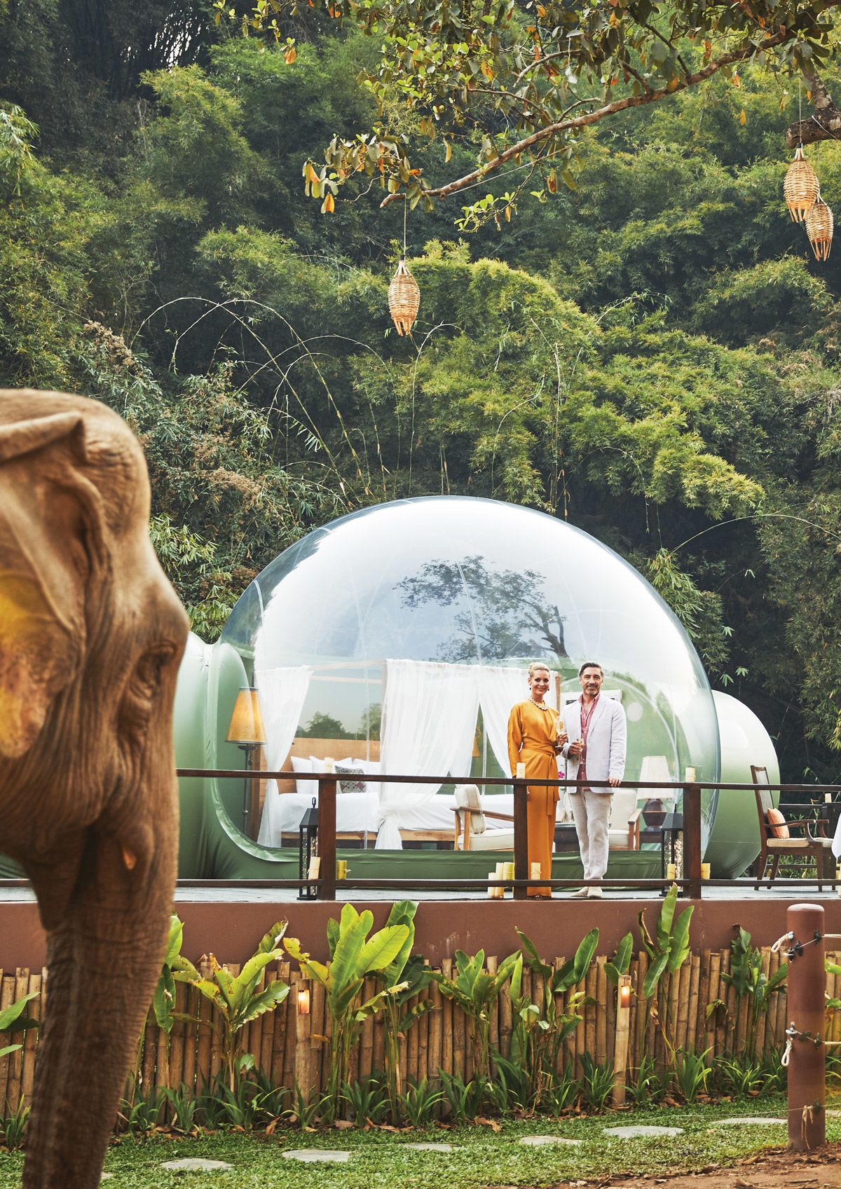 One of the two Jungle Bubbles at the Anantara Golden Triangle Elephant Camp & Resort in Thailand.